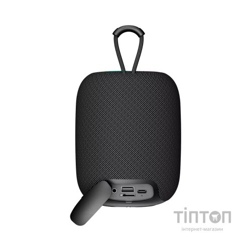 Акустична система Canyon BSP-8 Bluetooth V5.2 Black (CNE-CBTSP8B)