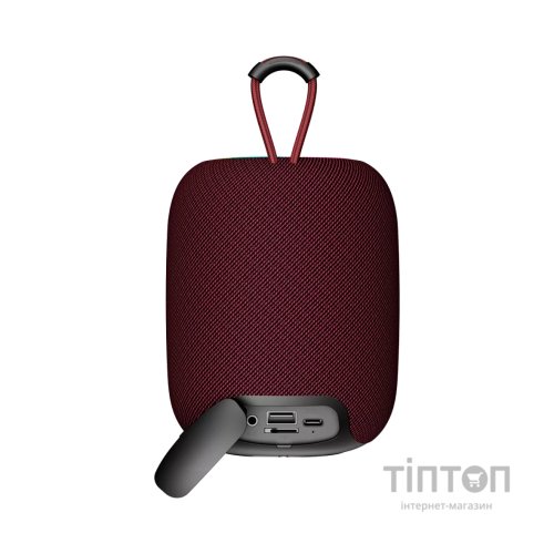Акустична система Canyon BSP-8 Bluetooth V5.2 Red (CNE-CBTSP8R)