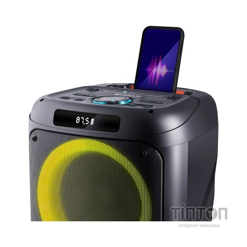 Акустична система Defender Boomer 100 Black (65099)