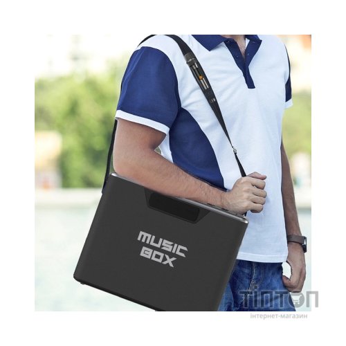 Акустична система HIFuture MusicBox Black (musicbox.black)