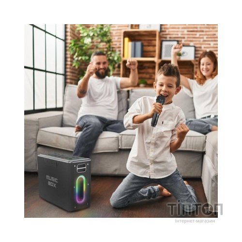 Акустична система HIFuture MusicBox Black (musicbox.black)
