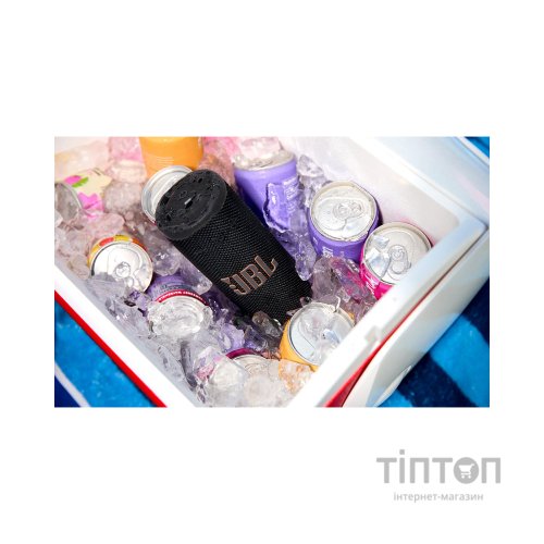 Акустична система JBL Grip Black (JBLGRIPBLK)