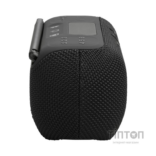Акустична система JBL Tuner 3 Black (JBLTUNER3BLK)