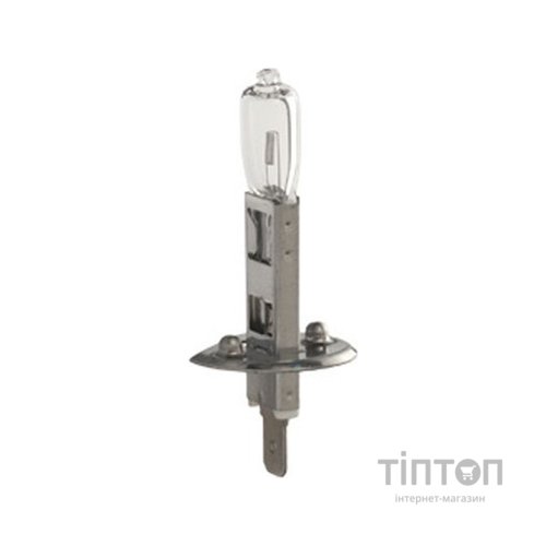 Автолампа SCT-GERMANY H1 Basic 12V 55W P14,5s (202631)