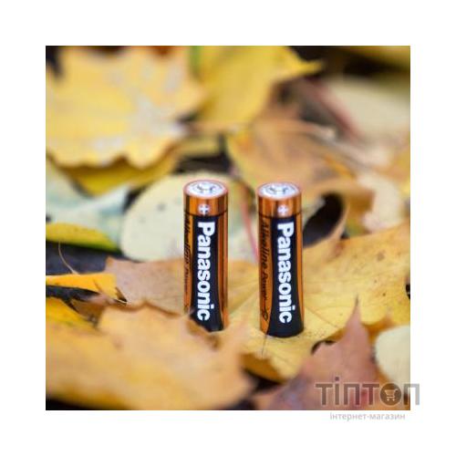 Батарейка Panasonic ALKALINE POWER AA BLI 10 
 