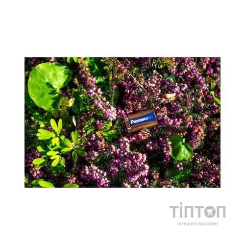 Батарейка Panasonic Крона 6LR61 Alkaline Power * 1 (6LF22APB/1BP)