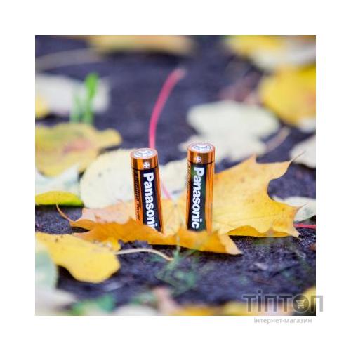 Батарейка PANASONIC LR06 Alkaline Power * 2