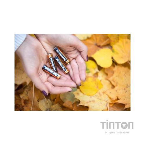 Батарейка PANASONIC LR06 Alkaline Power * 2