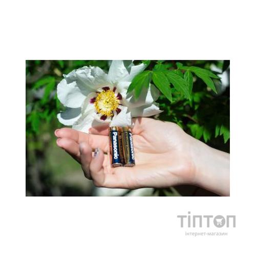 Батарейка PANASONIC LR06 PANASONIC Alkaline Power * 4 (LR6REB/4BPU)