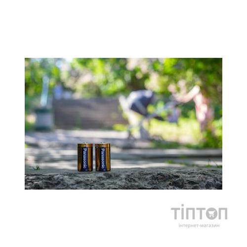 Батарейка PANASONIC LR20 PANASONIC Alkaline Power * 2 (LR20REB/2BP)