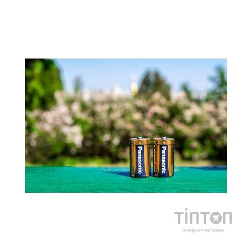 Батарейка PANASONIC LR20 PANASONIC Alkaline Power * 2 (LR20REB/2BP)