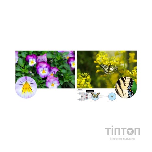 Бінокль Pentax UP 8.5x21 Papillio II (930160)