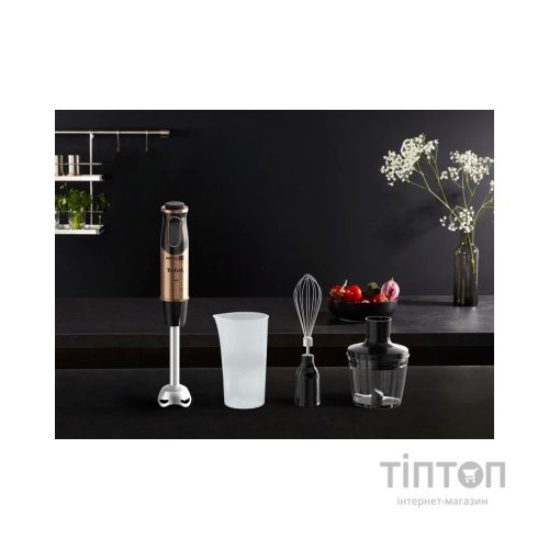 Блендер Tefal HB656G10