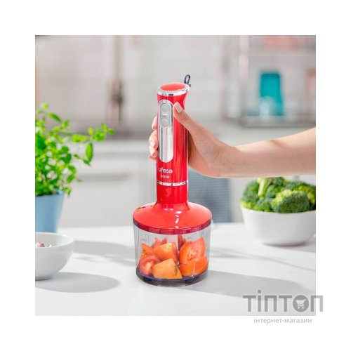 Блендер Ufesa BP3443 Rouge (70104807)