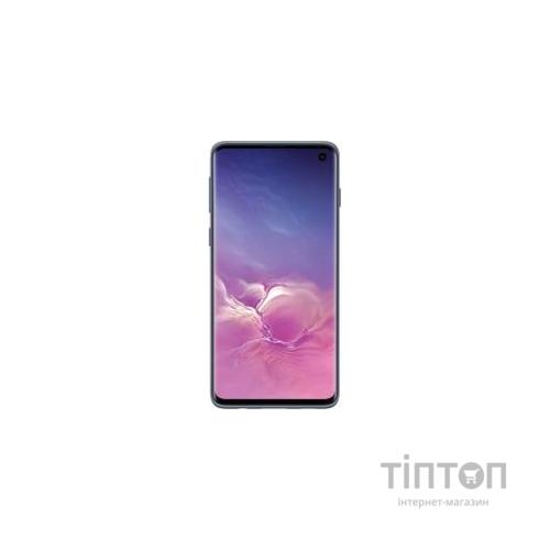 Чохол до мобільного телефона Samsung Galaxy S10 (G973) Protective Standing Cover Blue (EF-RG973CBEGRU)