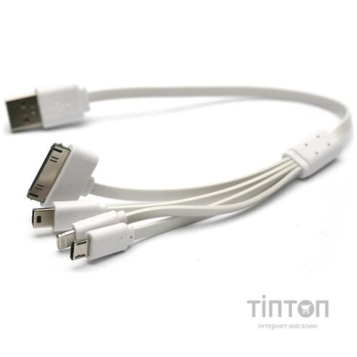 Дата кабель PowerPlant USB 2.0 AM - Mini Micro, Lightning, I-Pod, 0.5 м (KABUSBALL)