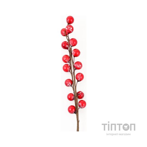 Декоративна гілка YES! Fun з червоними ягодами, 26 см (973524)