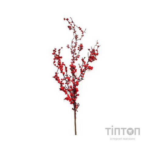 Декоративна гілка YES! Fun з червоними ягодами засніжена, 98 см (973489)