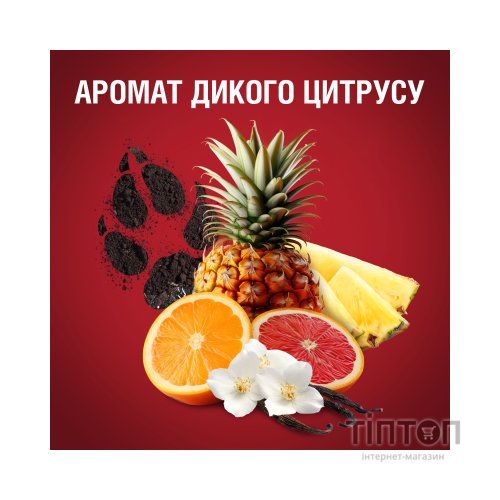 Дезодорант-антиперспірант Old Spice Wolfthorn 50 мл (4084500019195)