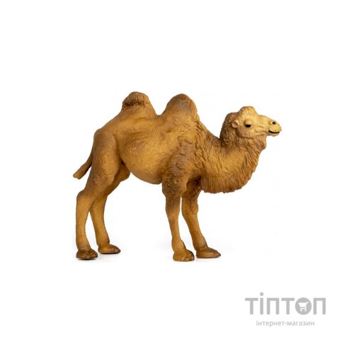 Фігурка Kids Team Сафарі Верблюд (Q9899-A15_2)