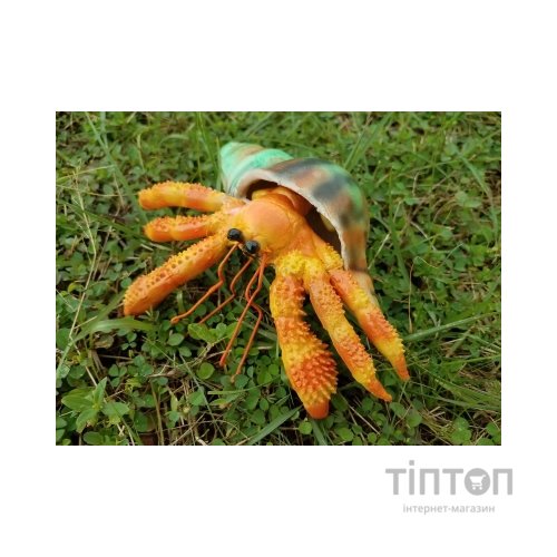 Фігурка Lanka Novelties Рак-самітник помаранчевий з мушлею , 15 см (21658)