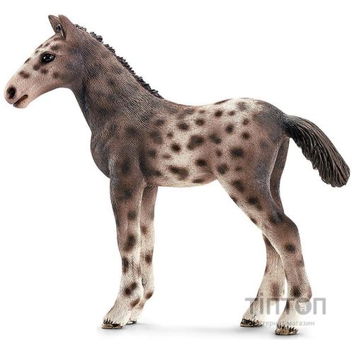 Фігурка Schleich Лоша кнабструп (13760)