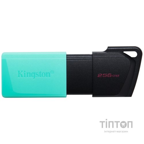 USB флеш накопичувач Kingston 256GB DataTraveler Exodia M USB 3.2 (DTXM/256GB)