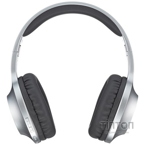 Навушники Panasonic RB-HX220BEE-S Gray (RB-HX220BEE-S)