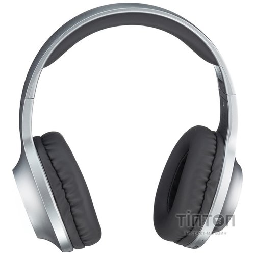 Навушники Panasonic RB-HX220BEE-S Gray (RB-HX220BEE-S)