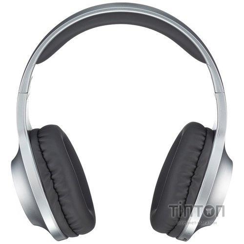 Навушники Panasonic RB-HX220BEE-S Gray (RB-HX220BEE-S)