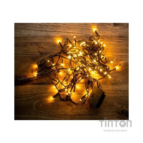 Гірлянда BPNY White 100 LED, 5М, 8 функцій, 220V (102952)