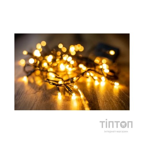 Гірлянда BPNY White 100 LED, 5М, 8 функцій, 220V (102952)