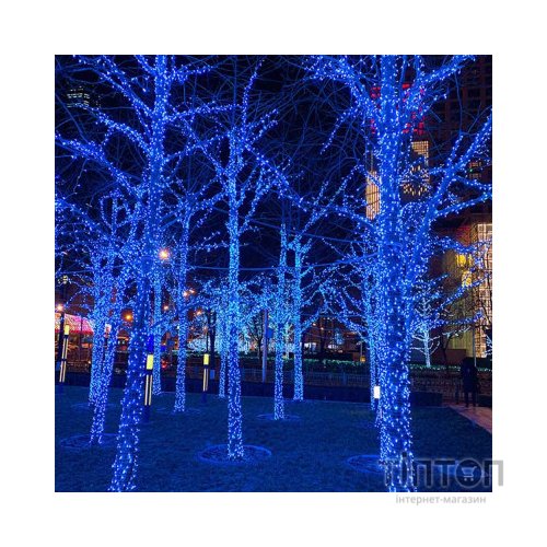 Гірлянда ColorWay IP65 10м 100Led блакитне світло (CW-GO-100L10BL)