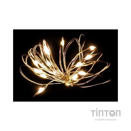 Гірлянда Luca Lighting Струна 8 м, теплий білий (8712799936492)