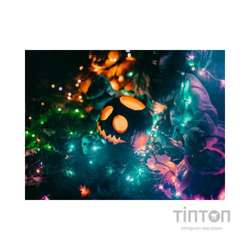 Гірлянда Twinkly Smart LED Strings RGBW 250, BT+WiFi, Gen II, IP44, кабель пр (TWS250SPP-TEU)