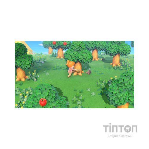 Гра Nintendo Switch Animal Crossing: New Horizons (45496425470)