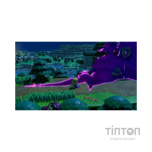 Гра Nintendo Switch The Legend of Zelda: Echoes of Wisdom, картридж (045496512408)