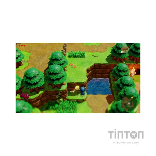 Гра Nintendo Switch The Legend of Zelda: Echoes of Wisdom, картридж (045496512408)