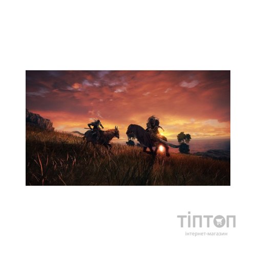Гра Sony Elden Ring [PS5, Russian subtitles] (3391892017946)