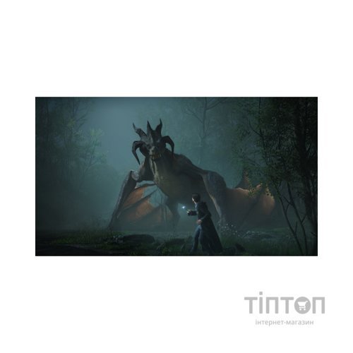 Гра Sony Hogwarts Legacy, BD диск (5051895413418)