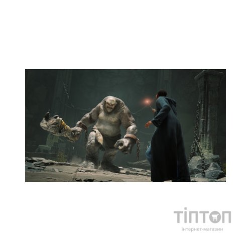 Гра Sony Hogwarts Legacy, BD диск (5051895413425)