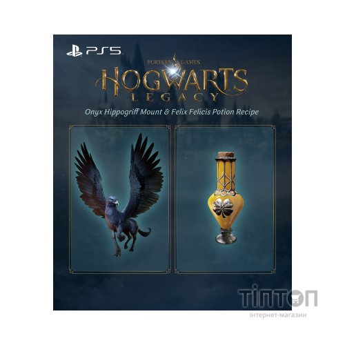 Гра Sony Hogwarts Legacy, BD диск (5051895413425)