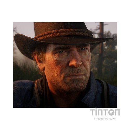 Гра Sony Red Dead Redemption 2, BD диск (5026555423052)