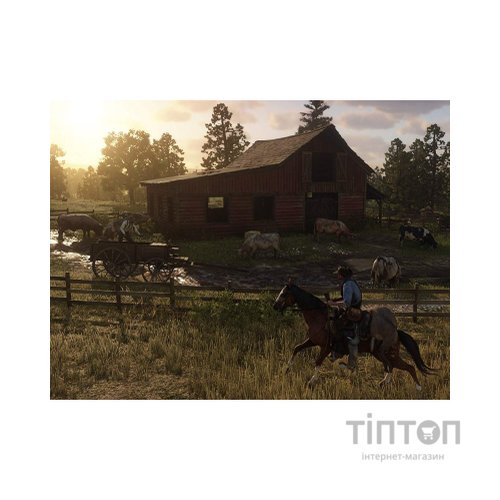 Гра Sony Red Dead Redemption 2, BD диск (5026555423052)