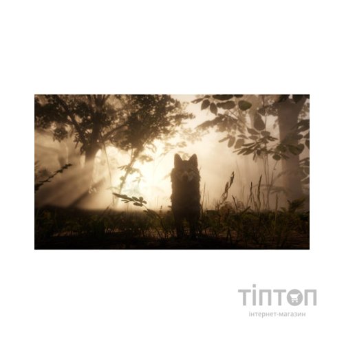 Гра Sony Red Dead Redemption 2 [Blu-Ray диск] PS4 Russian subtitles (5026555423175)