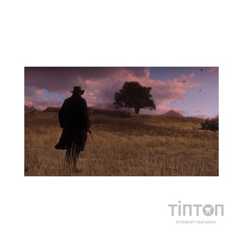 Гра Sony Red Dead Redemption 2 [Blu-Ray диск] PS4 Russian subtitles (5026555423175)