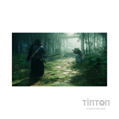 Гра Sony Rise of the Ronin, BD диск [PS5] (1000042897)