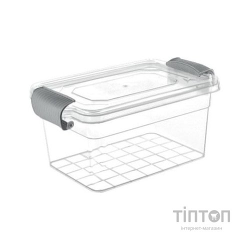 Харчовий контейнер Violet House Family Box Grey 1 л (0461 FAMILY BOX прям. 1 л)