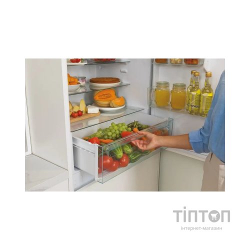 Холодильник Candy CBT 7719 EW (CBT7719EW)