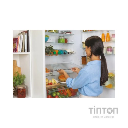 Холодильник Candy CBT 7719 EW (CBT7719EW)